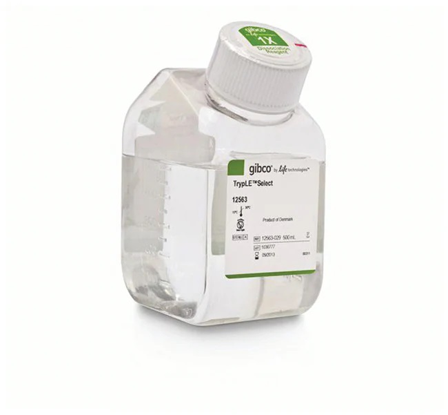 Gibco TrypLE Select Enzyme (1X), no phenol red 500mL Details